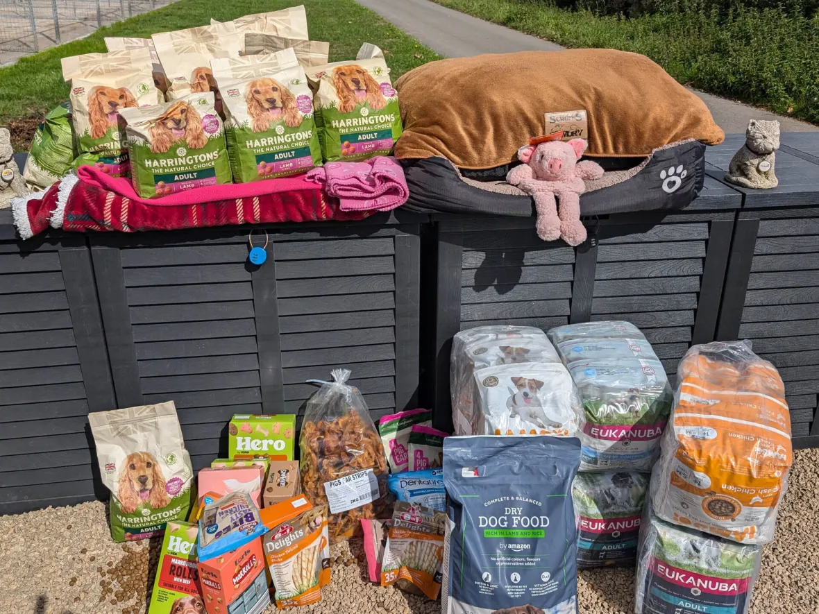 Soudal UK Supports Dun-Roamin’ Rehoming and Sanctuary for International Dog Day