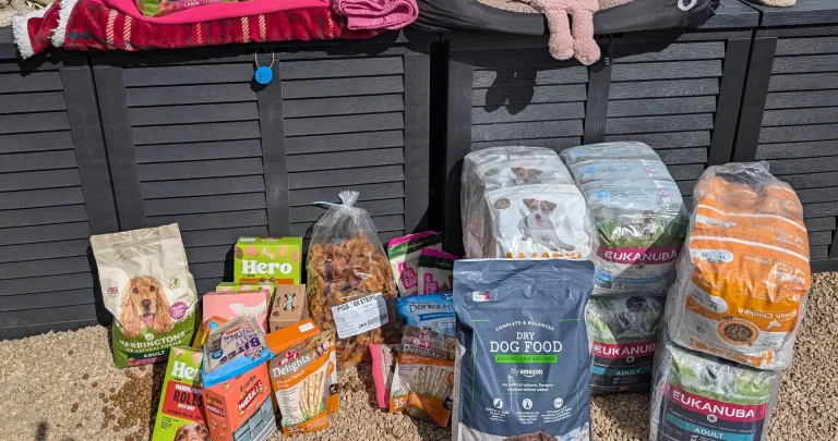 Soudal UK Supports Dun-Roamin’ Rehoming and Sanctuary for International Dog Day