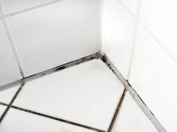 Mould Growth